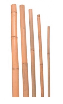 Bambus. tyč prírodná 10/12 105cm