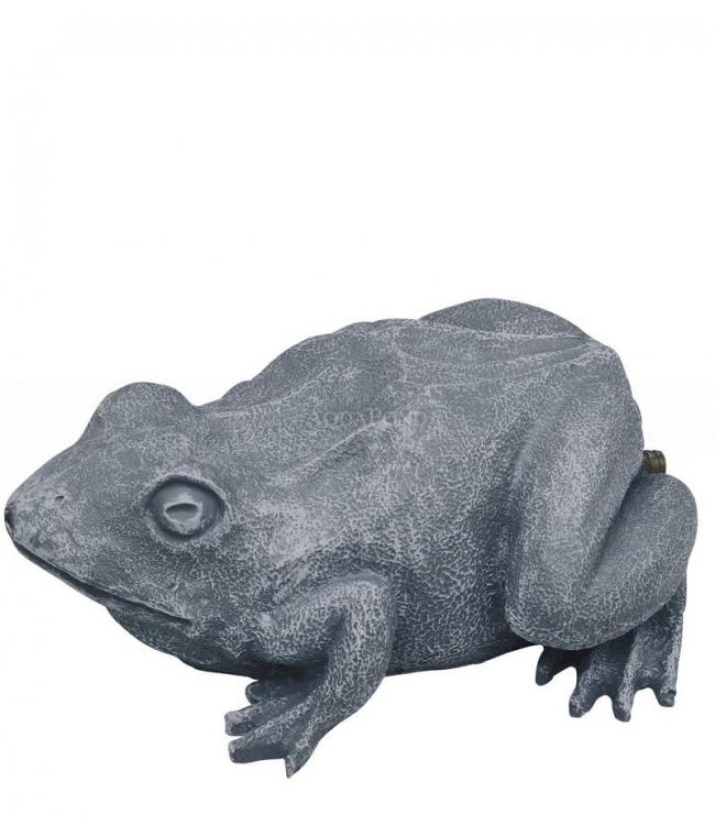 Pond žaba chrliaca vodu