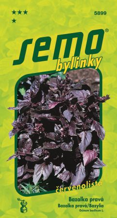 Bazalka Red Rubin SEMO 5899