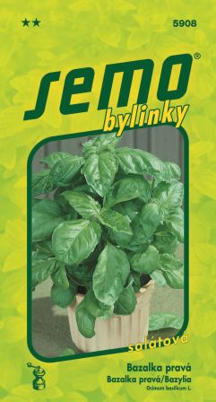Bazalka Lettuce leaf SEMO 5908
