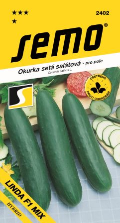 Uhorky šal. Linda F1 SEMO 2402