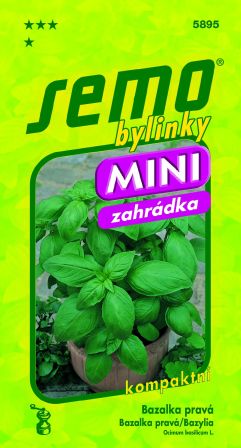 Bazalka Mammolo Genovese MINI SEMO 5895