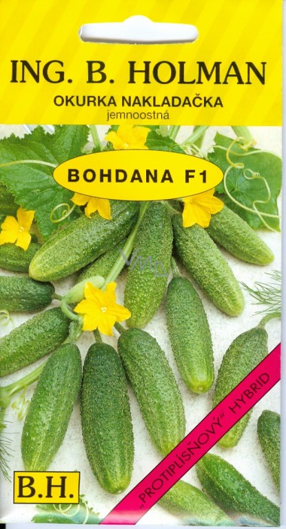 Uhorky nakl. Bohdana F1 J 2,5g HOLMAN