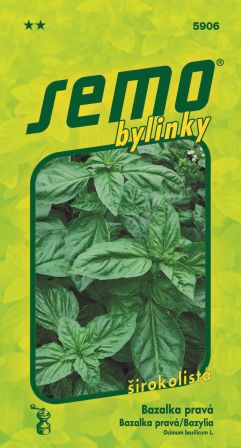Bazalka Dark green SEMO 5906