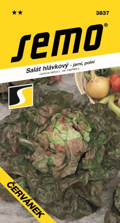 Šalát Červánek poľný SEMO 3837