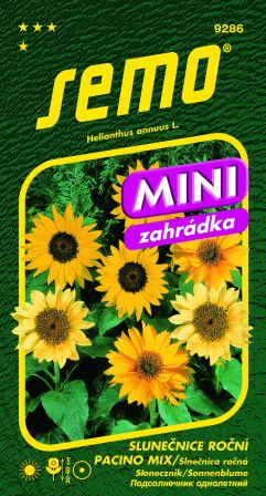Slnečnica ročná Pacino zmes MINI SEMO 9286