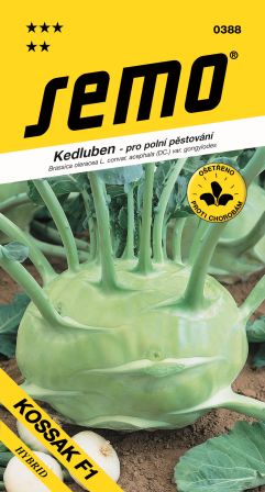 Kaleráb Kossak F1 biely nesk. SEMO 0388