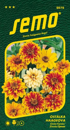 Cínia Haageova zmes SEMO 9579