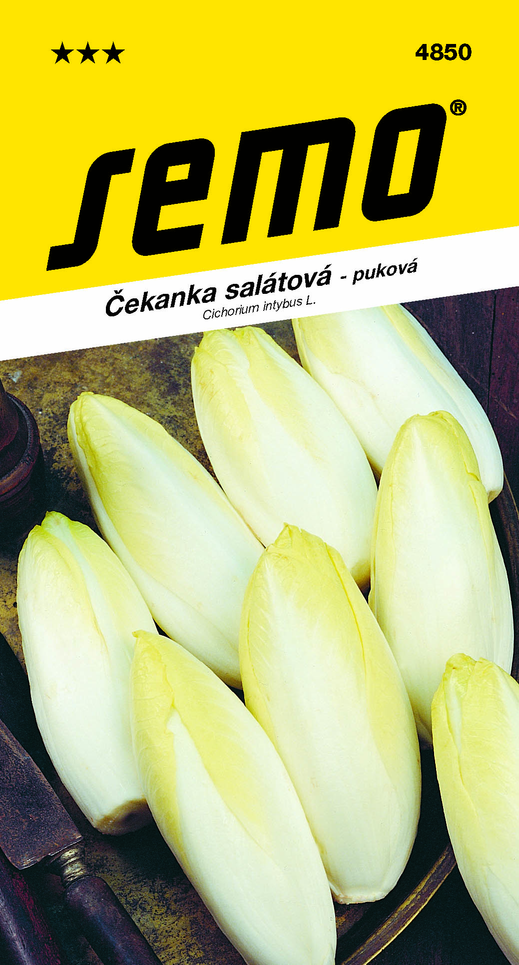 Čakanka obyč. Di Bruxelles SEMO 4850