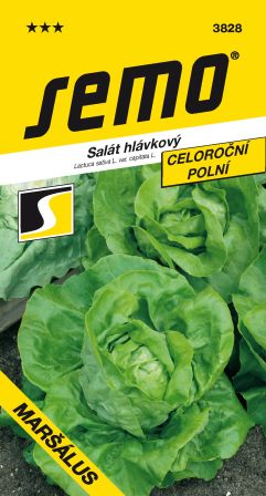 Šalát Maršálus celoročný SEMO 3828