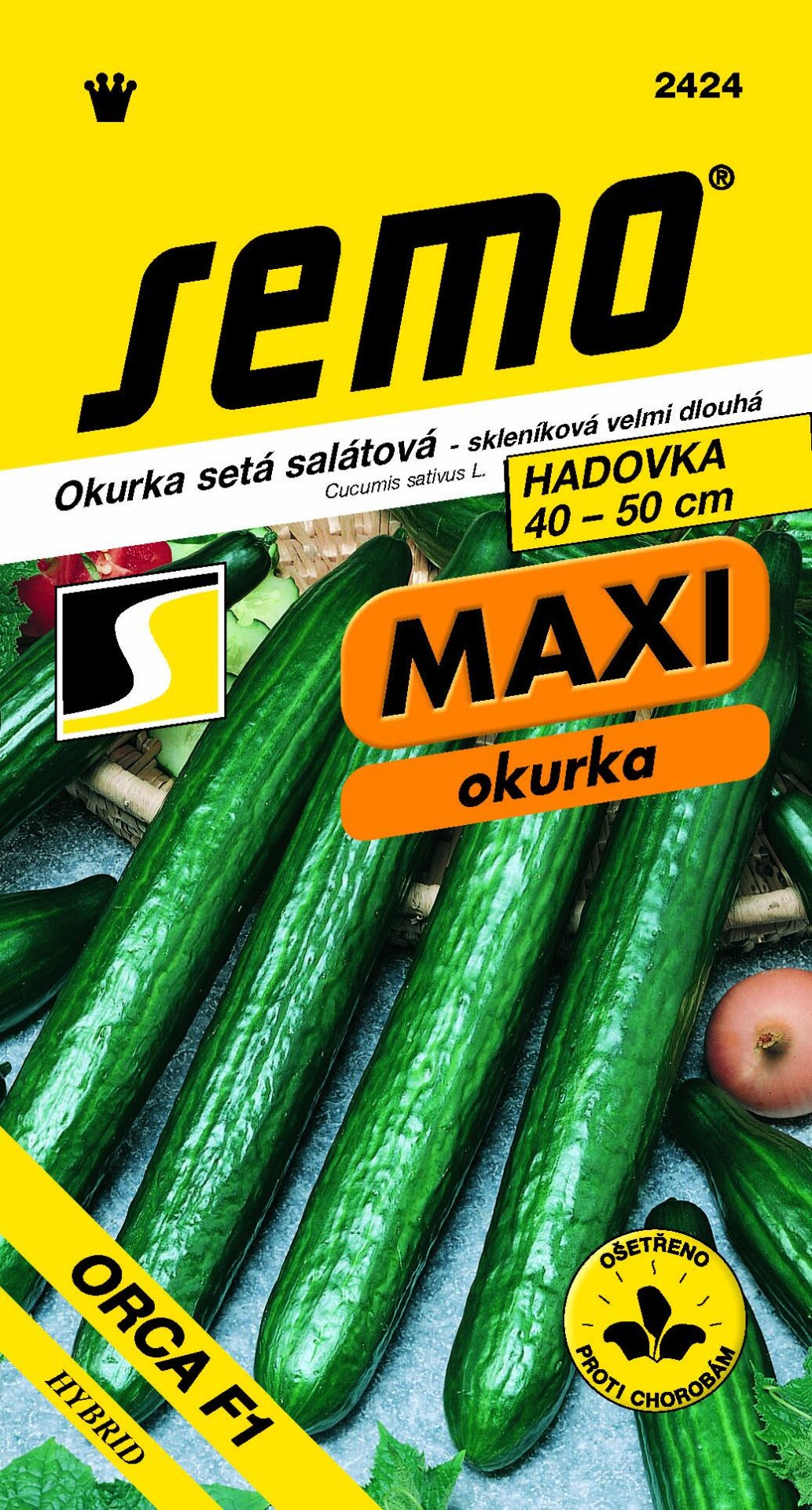 Uhorky sklen. Orca F1 MAXI SEMO 2424