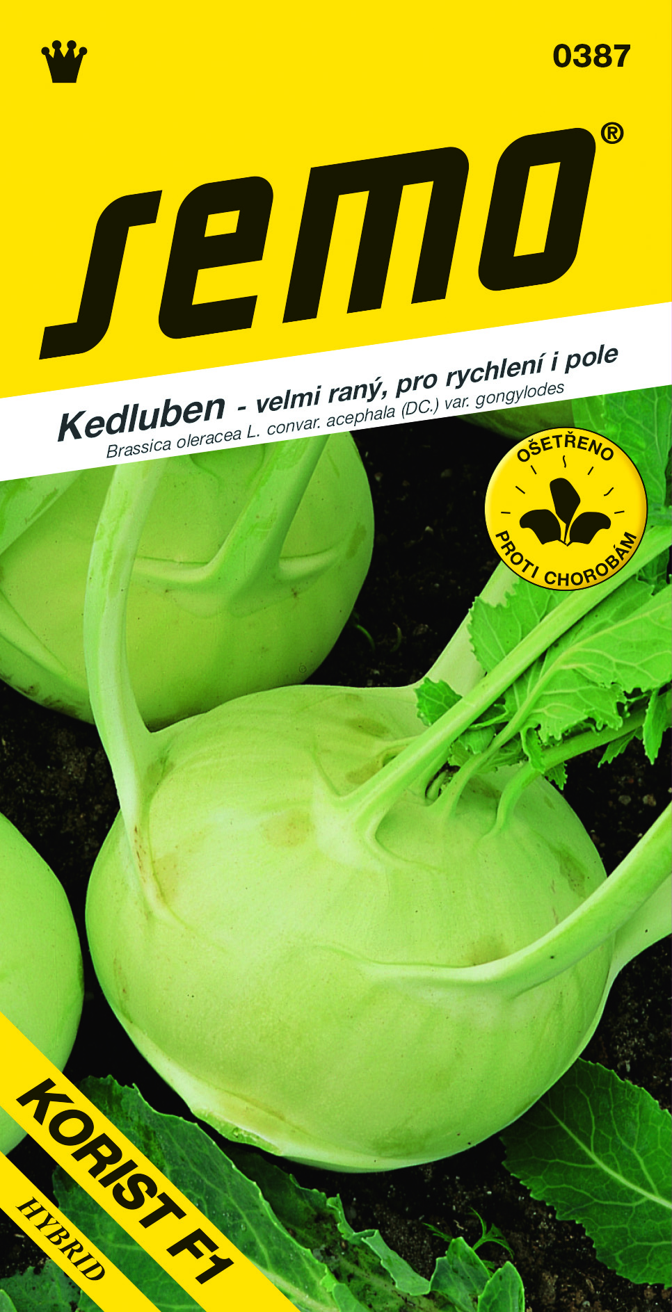 Kaleráb Korist F1 biely sk. SEMO 0387