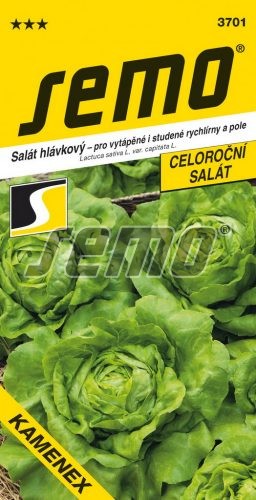 Šalát Kamenex celoročný SEMO 3701