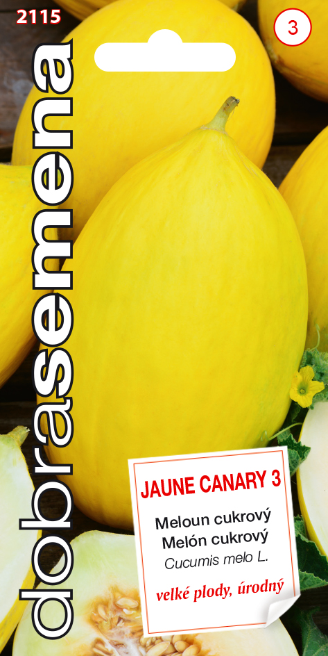 Melón cukrový Jaune canary DS 2115
