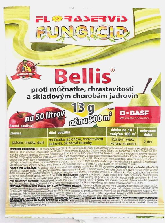 Bellis 13g