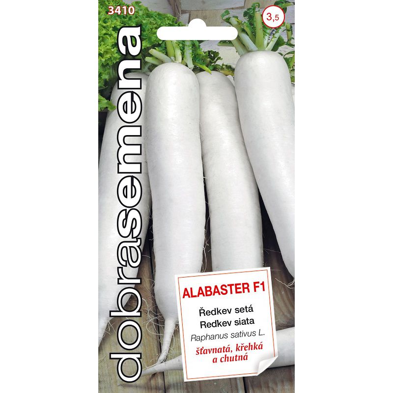 Reďkev Alabaster F1 DS 3410