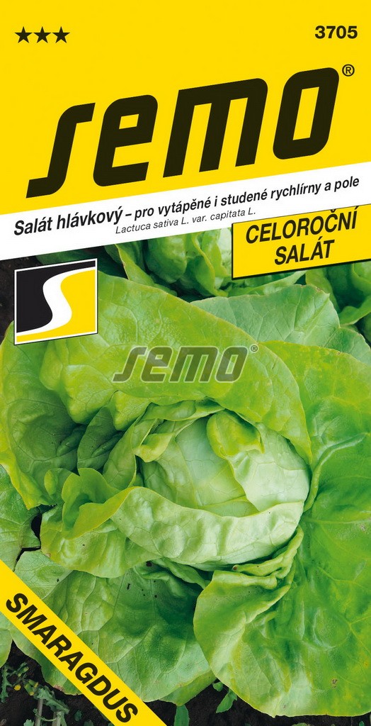 Šalát Smaragdus celor. SEMO 3705