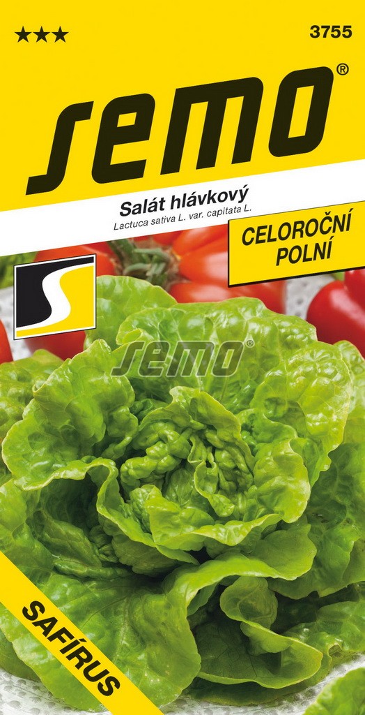 Šalát Safírus celor. SEMO 3755