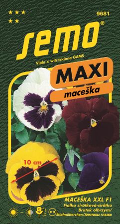 Sirôtka fialka veľkokvetá F1 MAXI SEMO 9681