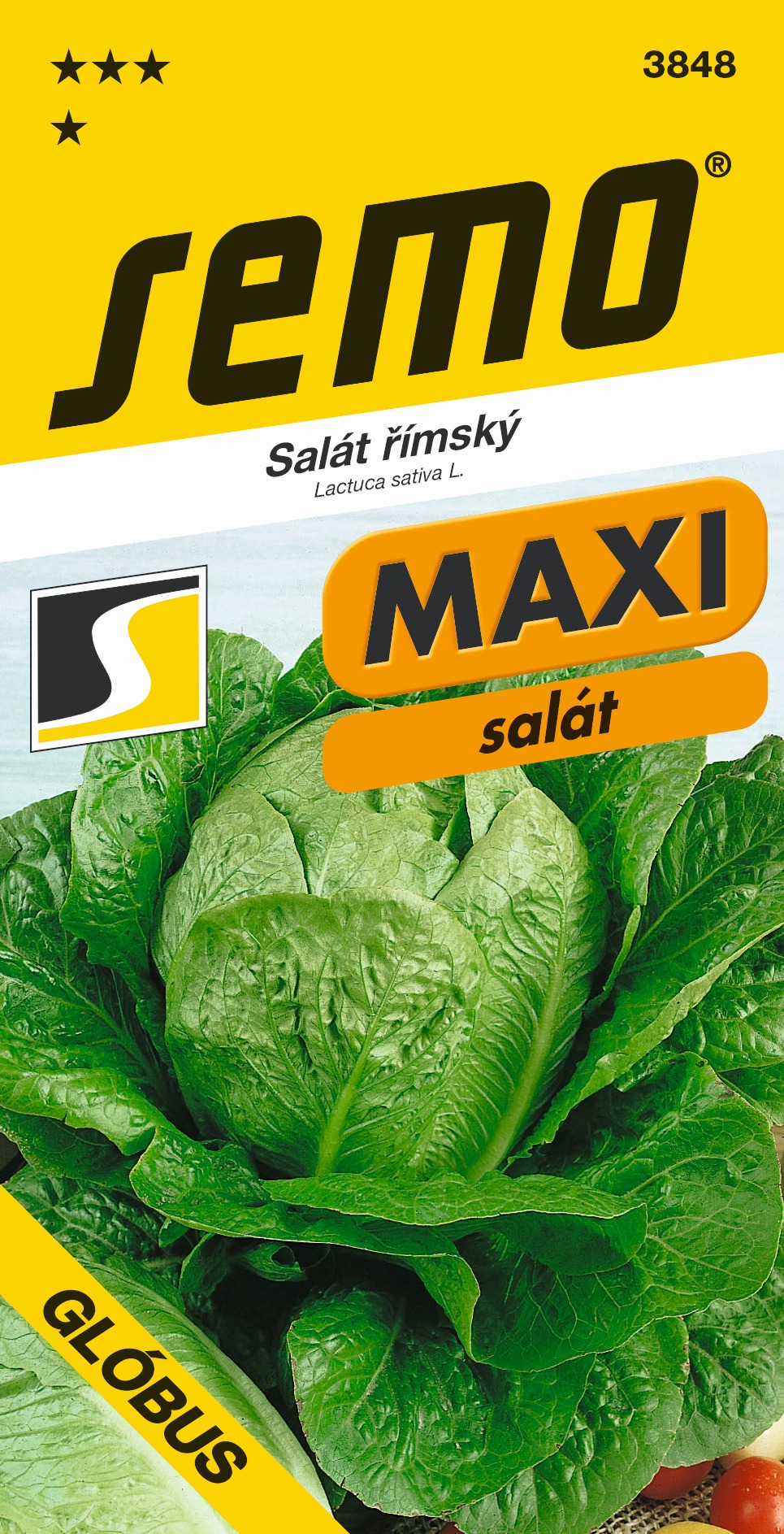Šalát Globus rímsky MAXI SEMO 3848