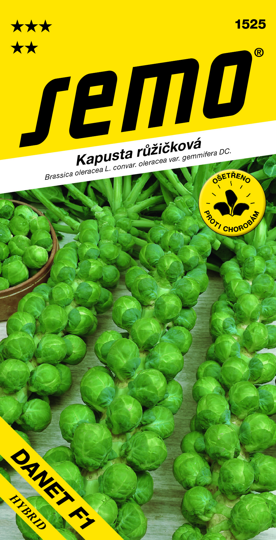 Kel ružičkový Danet F1 SEMO 1525
