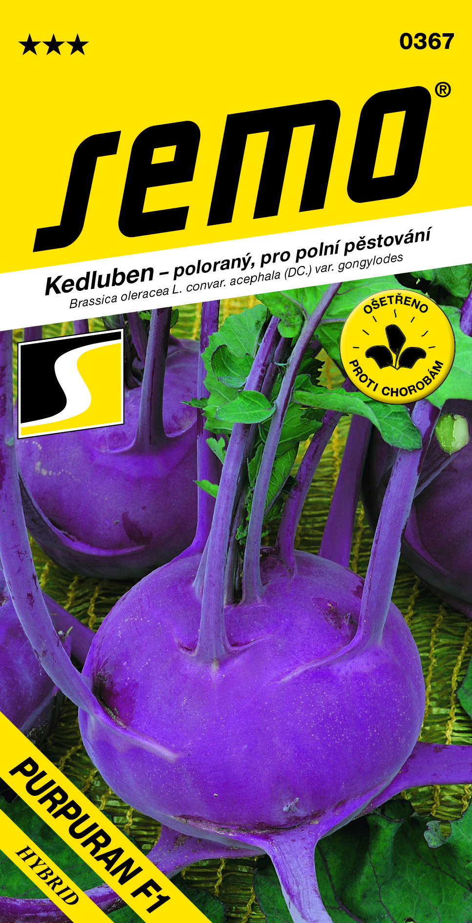 Kaleráb Purpuran F1 modrý sk.  SEMO 0367