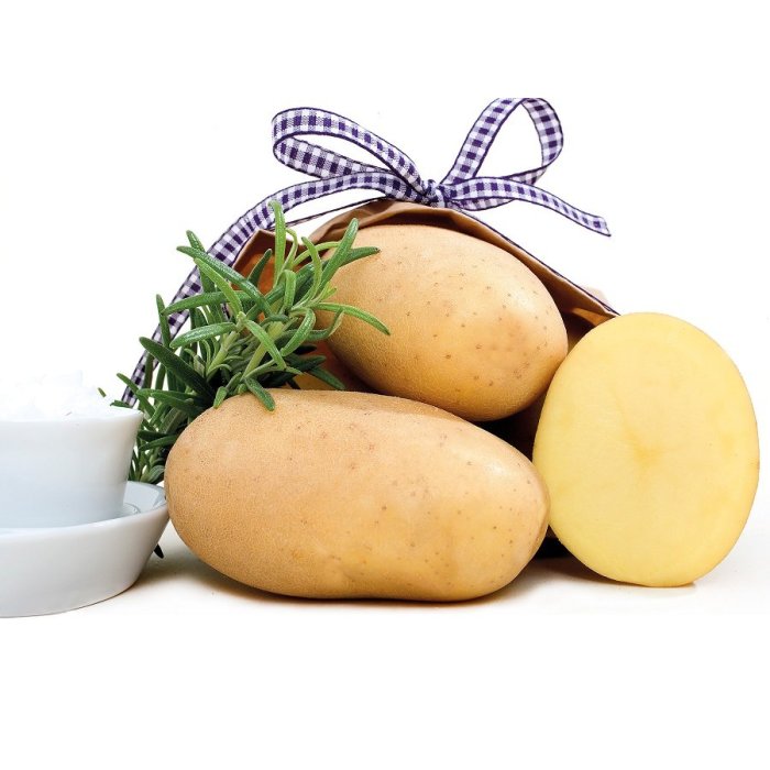 Zemiaky Jelly 25kg neskoré