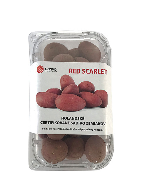 Zemiaky minihluzy Red Scarlet