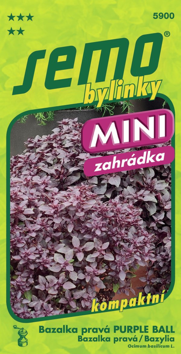 Bazalka pravá Purple Ball SEMO 5900 – jednoročka