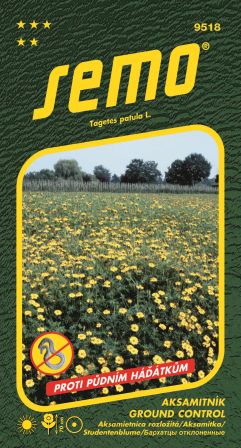 Aksamietnica rozl. Ground control SEMO 9518 – jednoročka