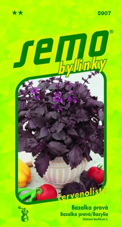 Bazalka Purple Opaal SEMO 5907 – jednoročka