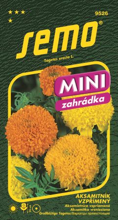 Aksamietnica vzpriam. Cupidon MINI SEMO 9526 – jednoročka