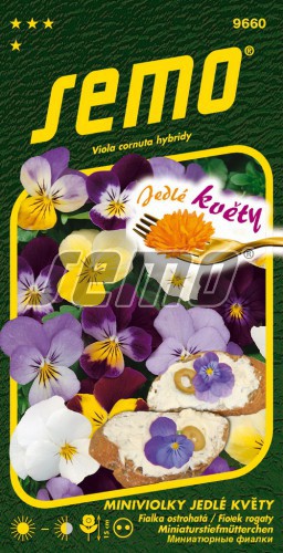 Fialka JK SEMO 9660 – jednoročka