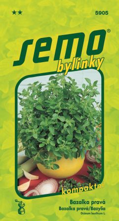 Bazalka Compakt SEMO 5905 – jednoročka