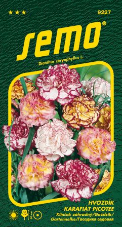 Klinček záhr. Picotee SEMO 9227 – jednoročka