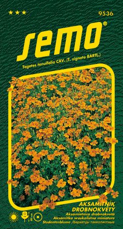 Aksamietnica drobnokv. oranžová SEMO 9536 – jednoročka