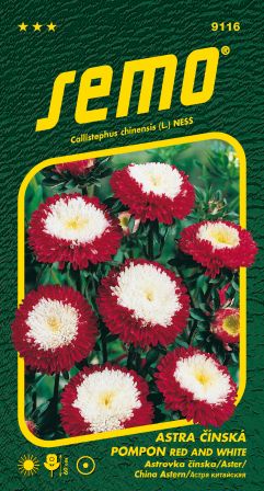 Astra Pompon Red and White SEMO 9116 – jednoročka