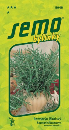 Rozmarín SEMO 5948 – jednoročka