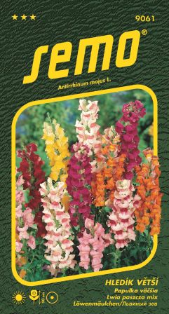 Papuľka vačšia Maximum SEMO 9061 – jednoročka