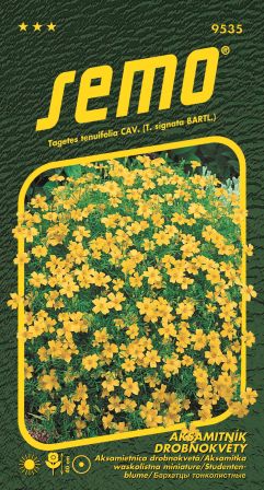 Aksamietnica drobnokv. žltá SEMO 9535 – jednoročka