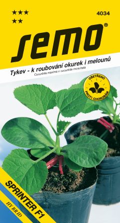 Tekvica Sprinter F1 na vrúbľov.  SEMO 4034 – jednoročka