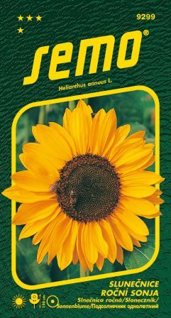 Slnečnica ročná Sonja oranž. SEMO 9299 – jednoročka
