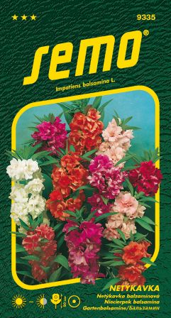 Netýkavka balzamínová SEMO 9335 – jednoročka
