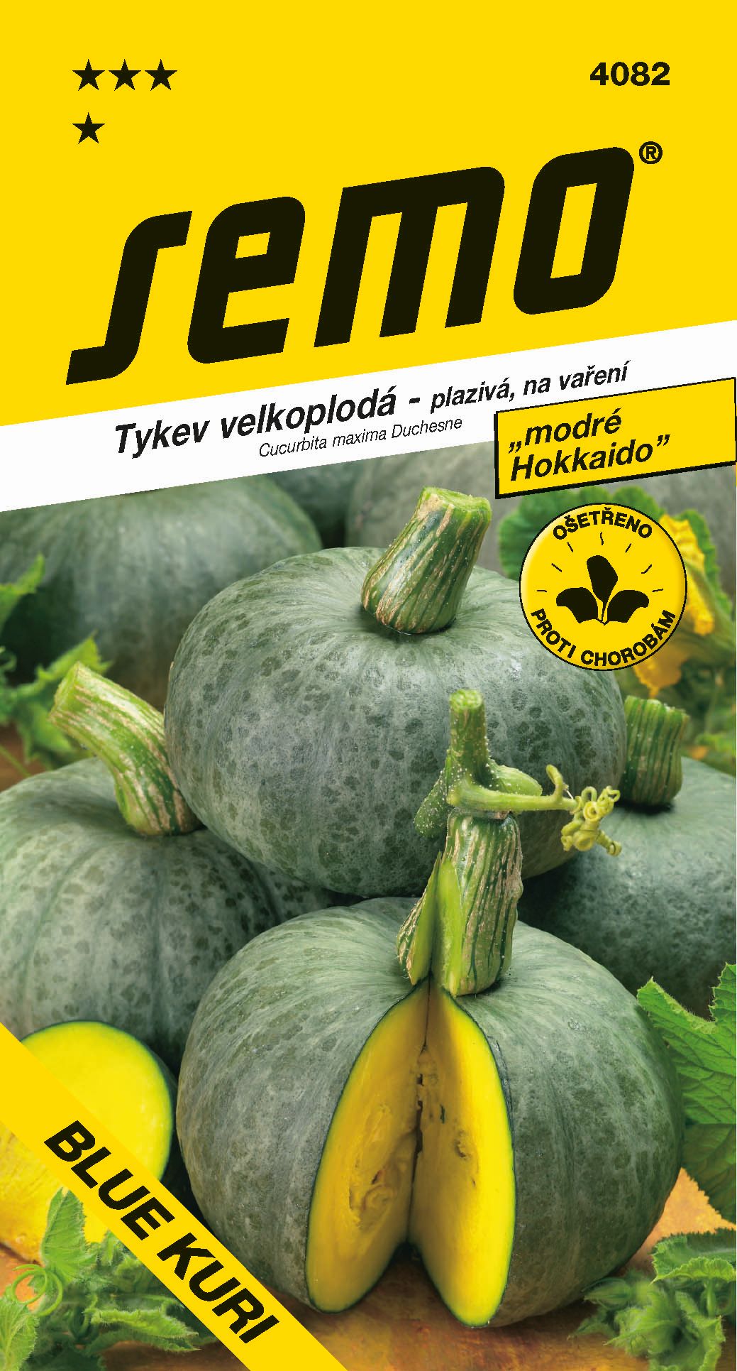 Tekvica Blue kuri modré Hokkaido  SEMO 4082 – jednoročka