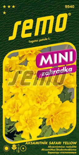 Aksamietnica rozl. Safari yellow MINI SEMO 9540 – jednoročka