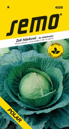 Kapusta Polar nesk. SEMO 4225 – jednoročka