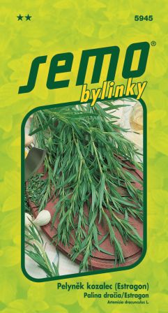 Palina Dračia SEMO 5945 – jednoročka
