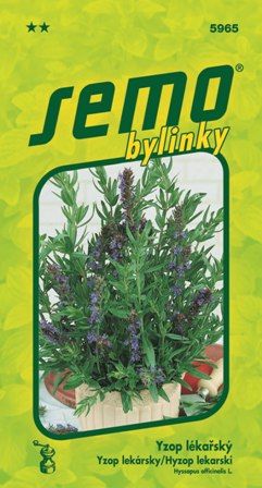Yzop lekársky SEMO 5965 – jednoročka