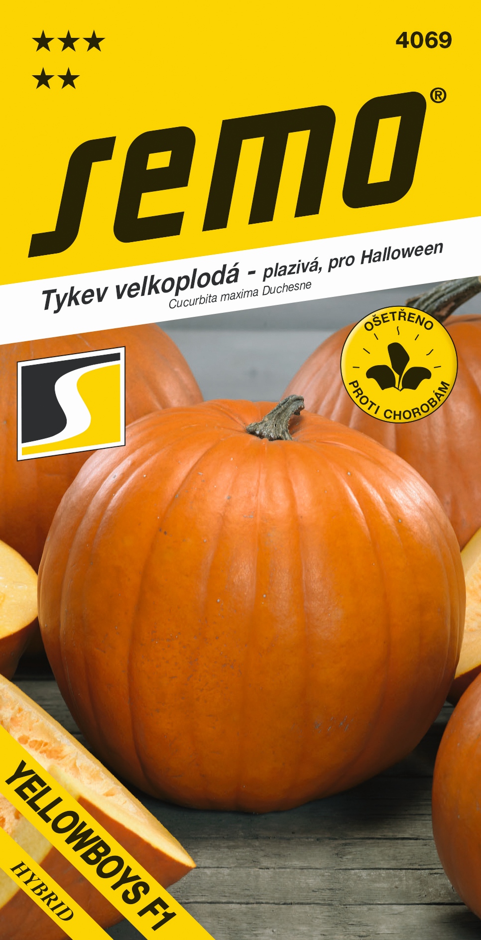 Tekvica Yellowboys F1 pre Halloween SEMO 4069 – jednoročka