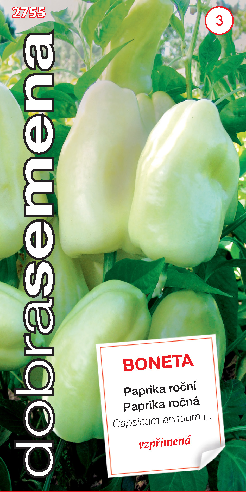 Paprika Boneta ročná DS 2755 – jednoročka
